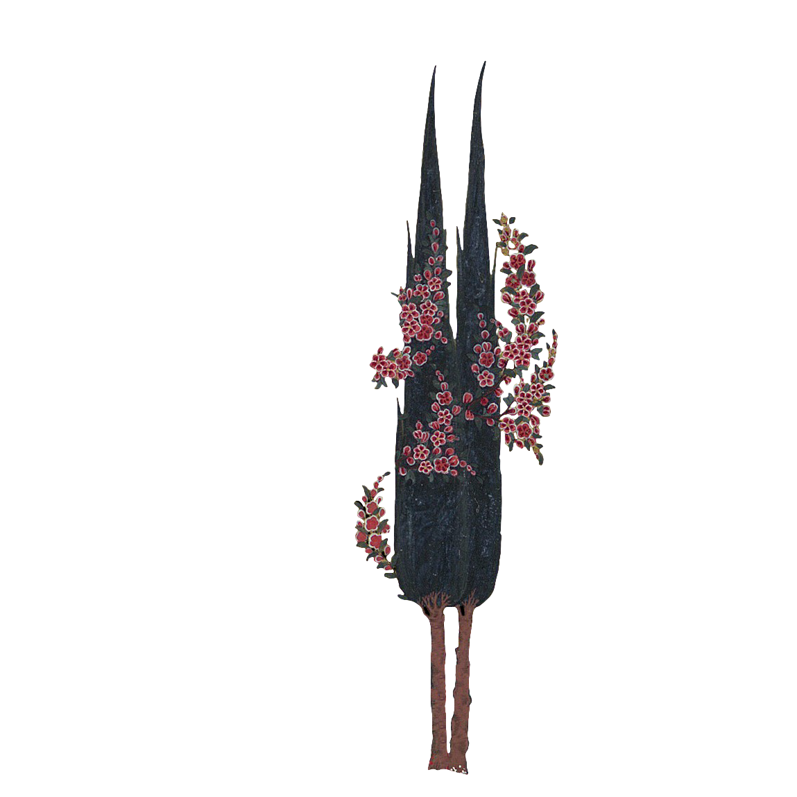 Persian Cypress Tree